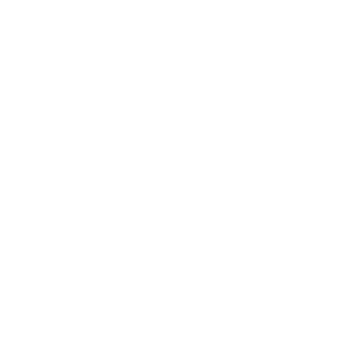 Cyber Centric Media